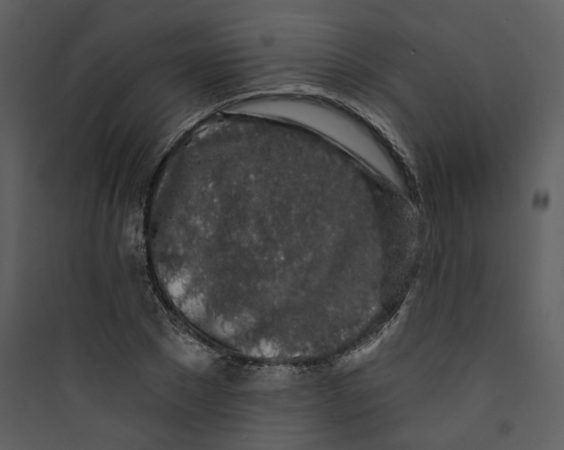 X0000089760881200707121401