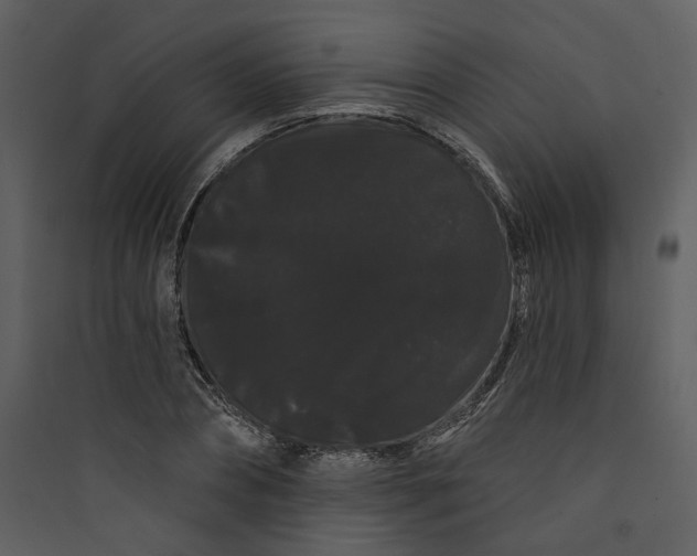 X0000089760882200707121401