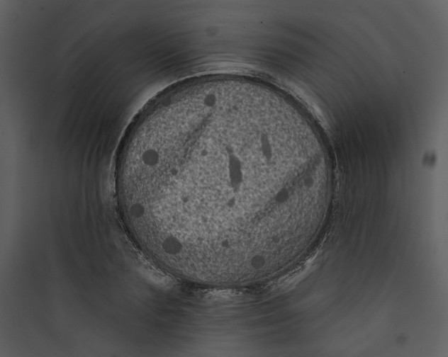 X0000089760883200707121401