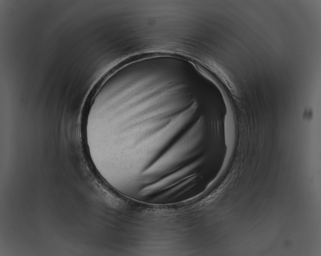 X0000089760884200707121401