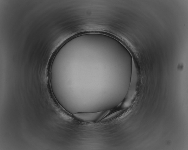 X0000089760885200707121401