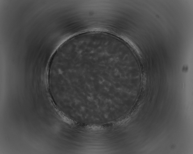 X0000089760886200707121401