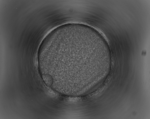 X0000089760887200707121401