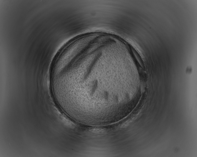 X0000089760888200707121401