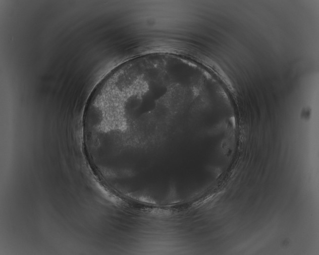 X0000089760890200707121401