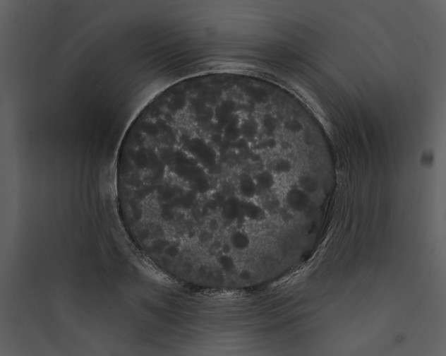 X0000089760891200707121401