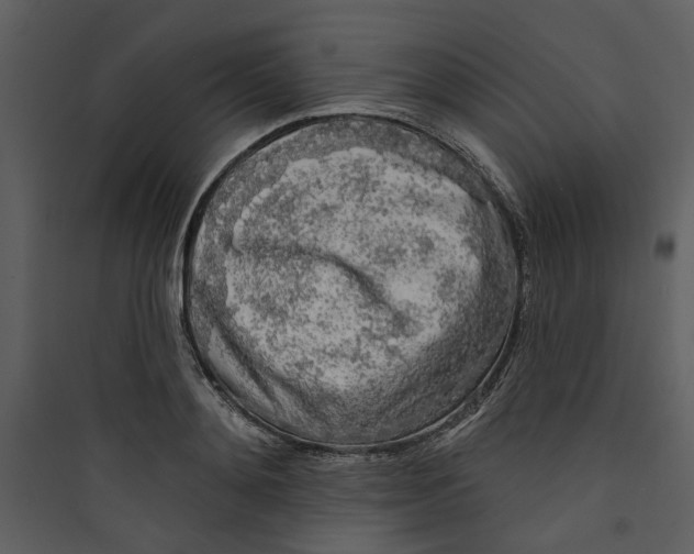 X0000089760892200707121401