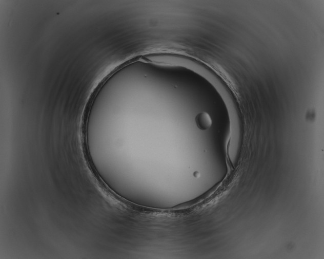 X0000089760893200707121401