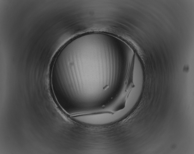 X0000089760894200707121401