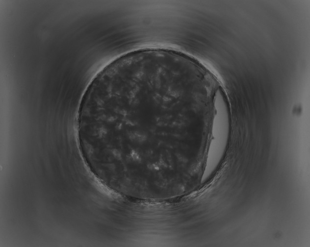 X0000089760895200707121401