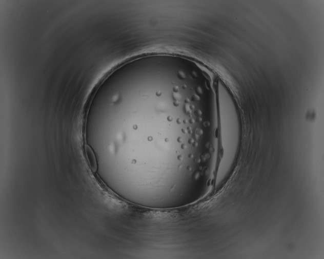 X0000089760896200707121401