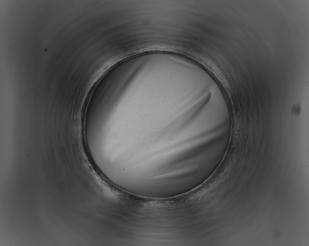 X0000089760898200707121401