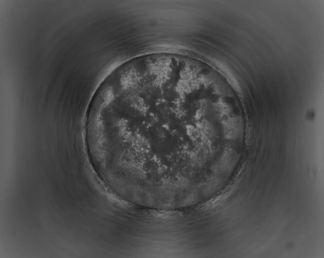 X0000089760899200707121401