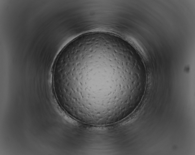 X0000089760900200707121401