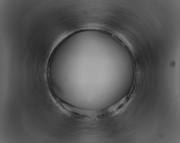 X0000089760901200707121401