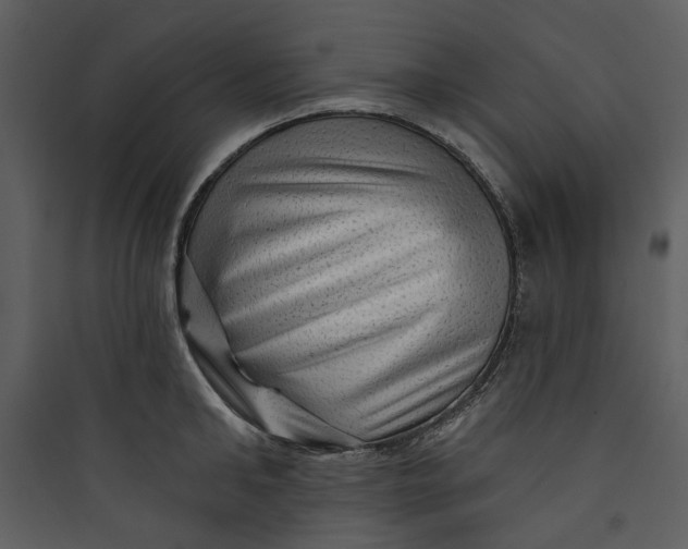 X0000089760902200707121401