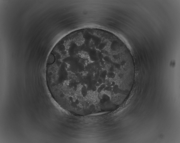 X0000089760903200707121401