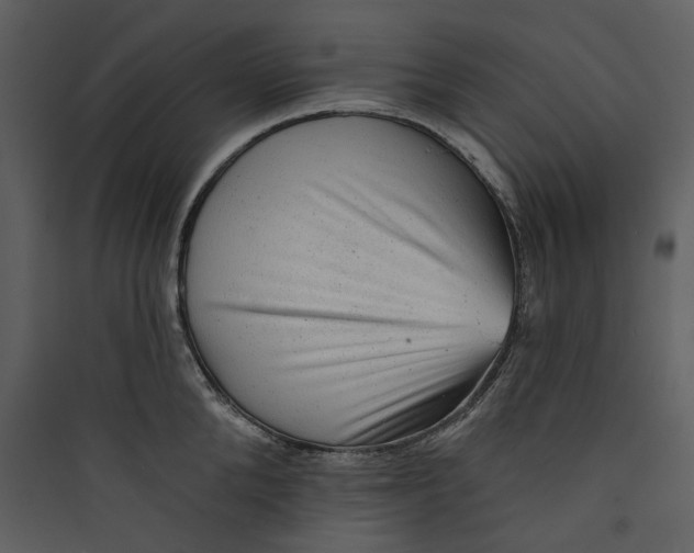 X0000089760904200707121401