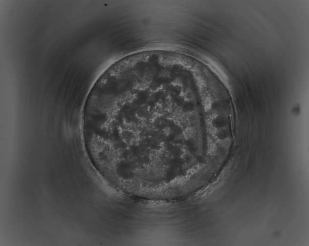 X0000089760907200707121401