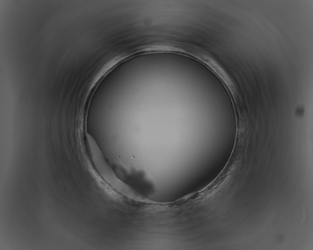 X0000089760909200707121401