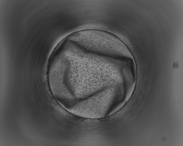 X0000089760912200707121401