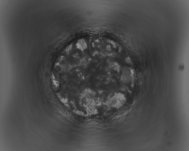 X0000089760913200707121400