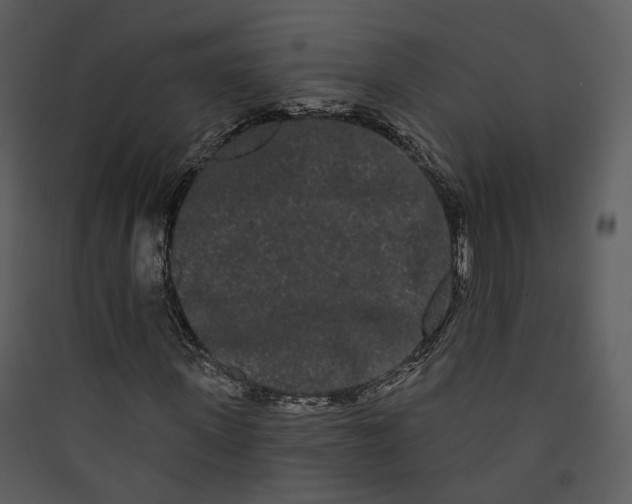 X0000089760915200707121400