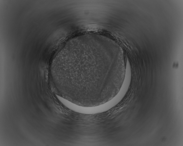 X0000089760916200707121400