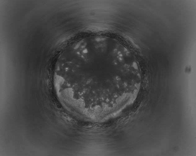 X0000089760917200707121400