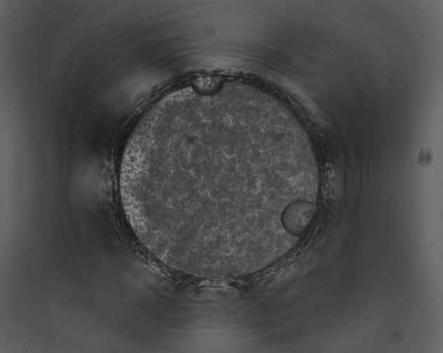 X0000089760918200707121400