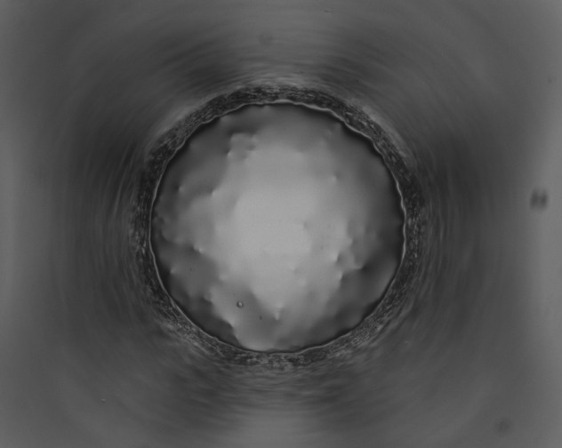 X0000089760919200707121400