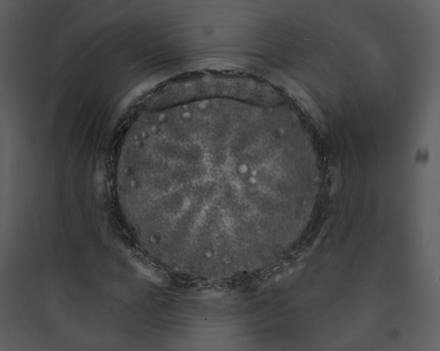 X0000089760920200707121400