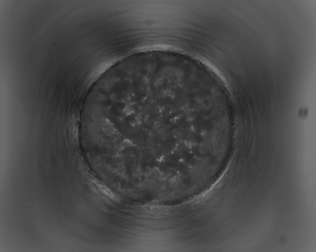 X0000089760921200707121400