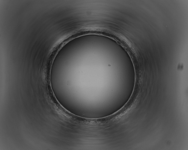 X0000089760922200707121400