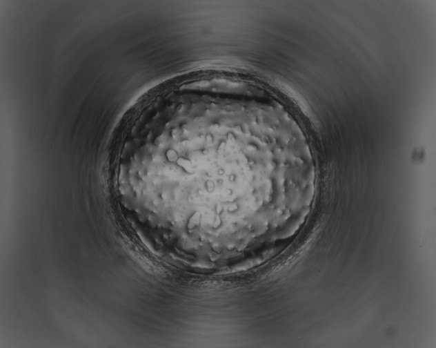 X0000089760923200707121400