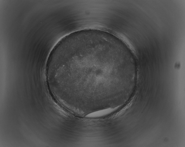 X0000089760924200707121400