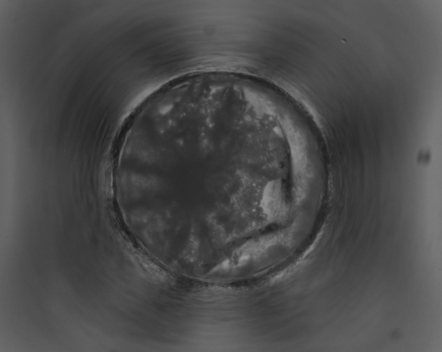 X0000089760925200707121400