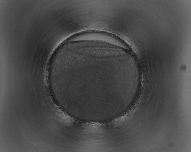 X0000089760926200707121400