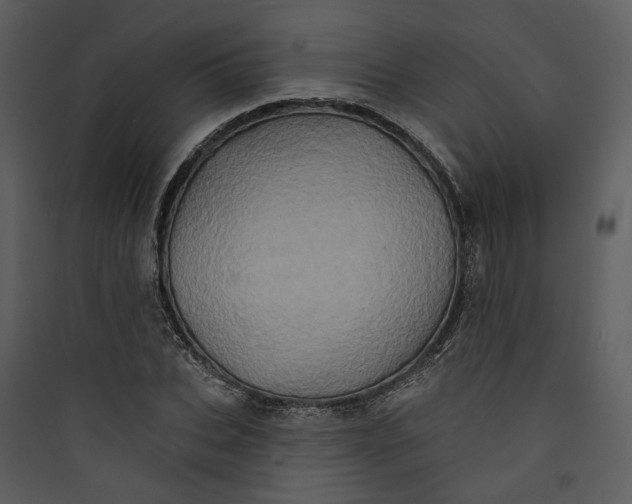 X0000089760927200707121400