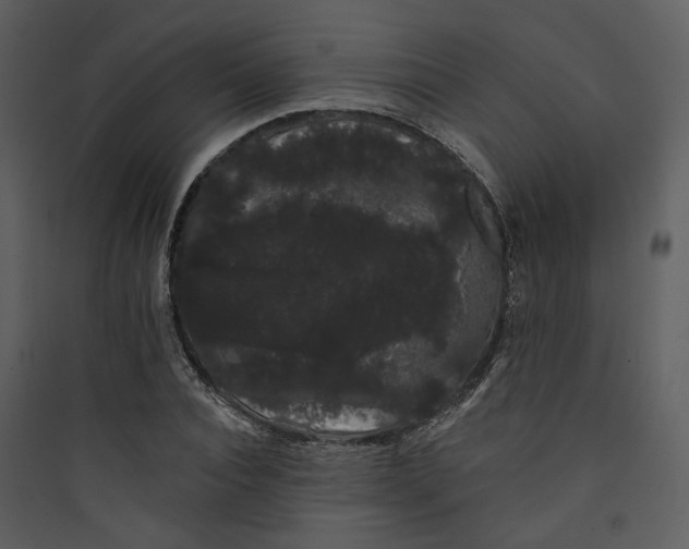 X0000089760928200707121400