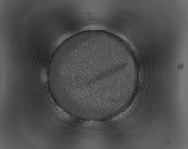 X0000089760929200707121400