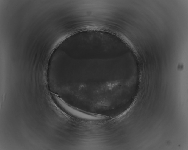 X0000089760930200707121400