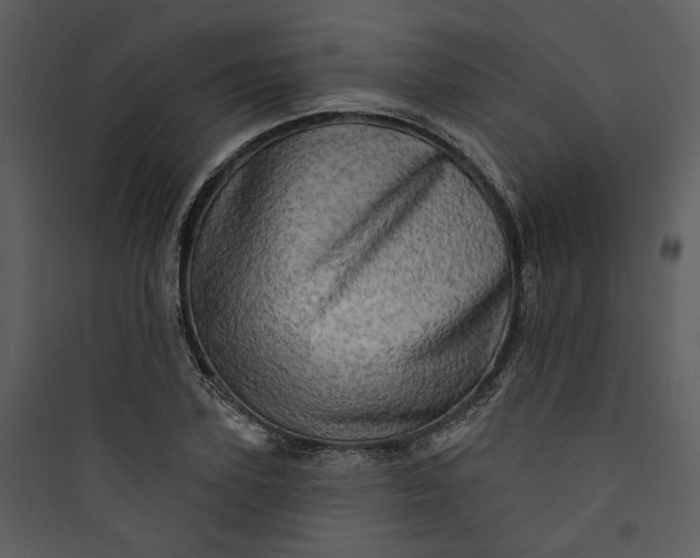 X0000089760931200707121400