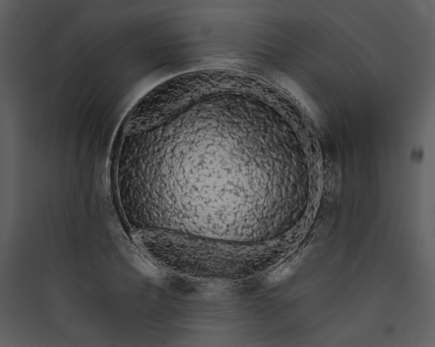 X0000089760932200707121400