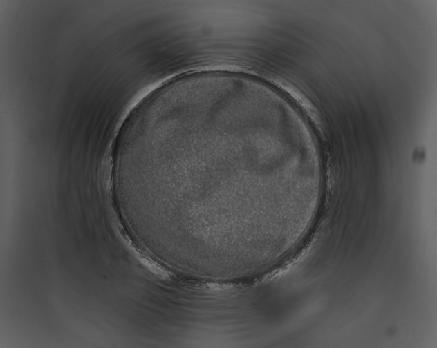 X0000089760933200707121400