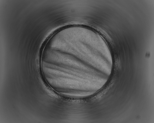 X0000089760934200707121400