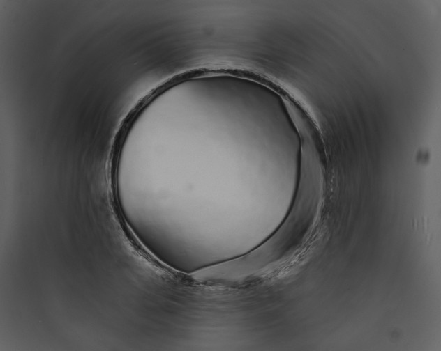 X0000089760935200707121400