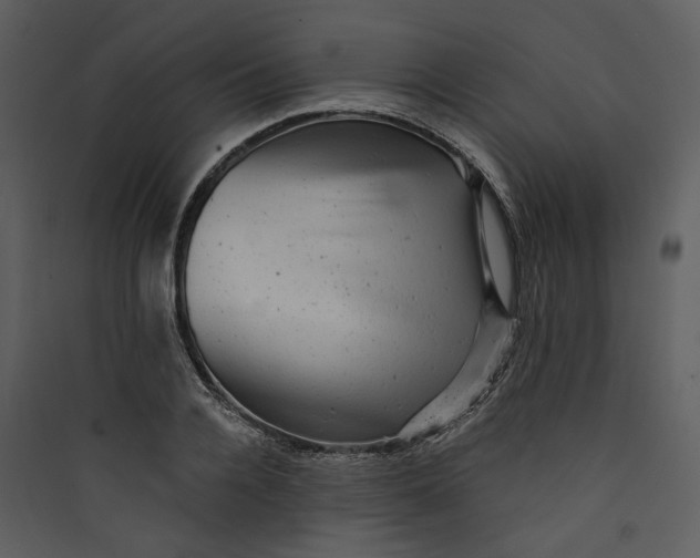 X0000089760936200707121400