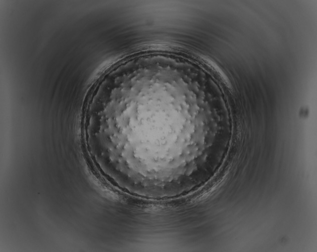 X0000089760938200707121400