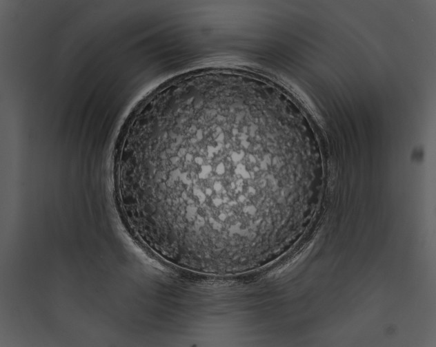 X0000089760939200707121400